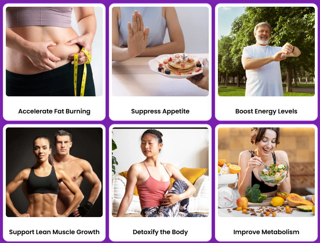 Sodatide benefits: accelerate fat burning, suppress appetite, boost energy, support lean muscle, detoxify the body, improve metabolism